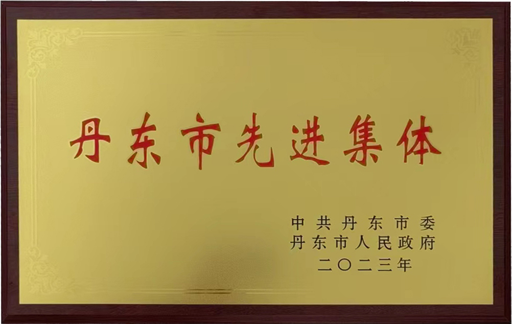 Dandong Advanced Collective